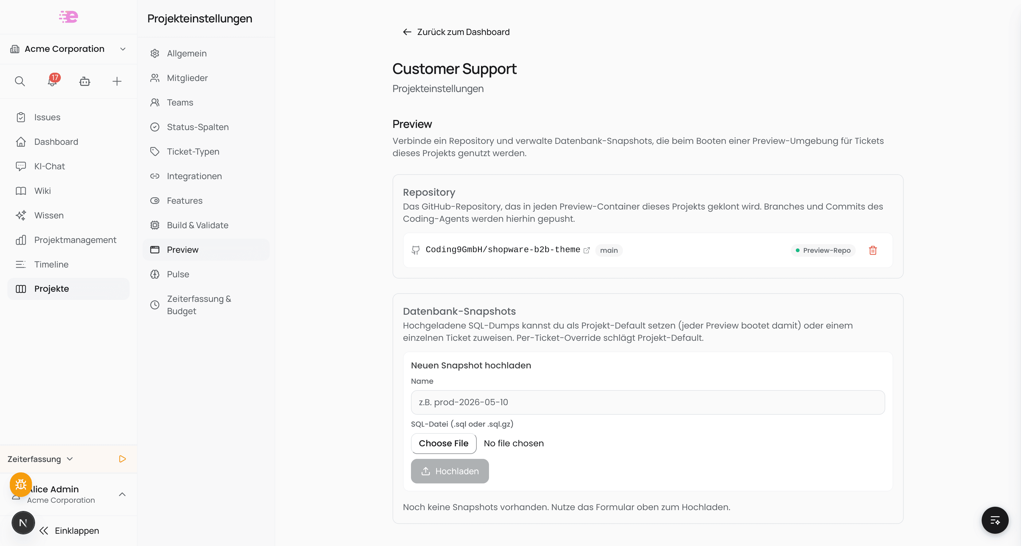 Preview tab in project settings